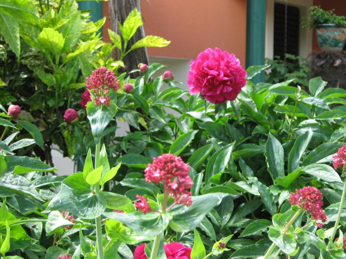 Guest House Bizjak วิงกุรัน ภายนอก รูปภาพ