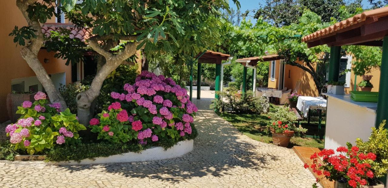 Guest House Bizjak วิงกุรัน ภายนอก รูปภาพ