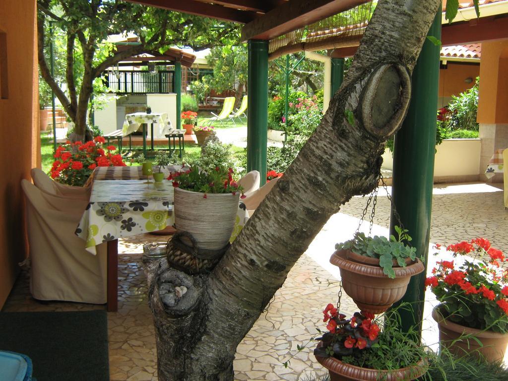 Guest House Bizjak วิงกุรัน ภายนอก รูปภาพ