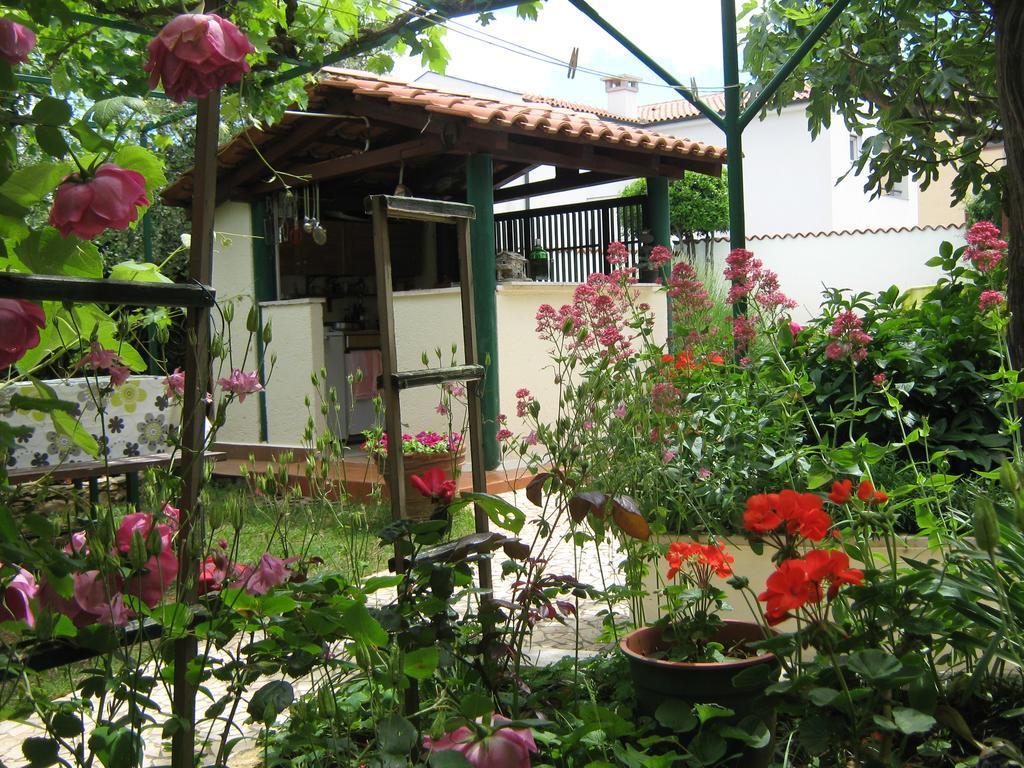 Guest House Bizjak วิงกุรัน ภายนอก รูปภาพ